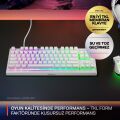 SteelSeries Apex 3 TKL RGB Suya ve Toza Dayanıklı Türkçe Gaming Klavye – Beyaz