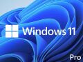 MS Windows 11 Pro FQC-10556 64BIT TR (OEM)