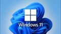 MS Windows 11 Pro FQC-10556 64BIT TR (OEM)
