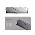 Hikvision U10 HKED4081CBA2D1ZA2 8 GB DDR4 3000 MHz CL16 Ram