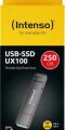 Intenso UX100 Harici SSD stick USB-C ve USB-A ile, çift bağlantı, 250 GB